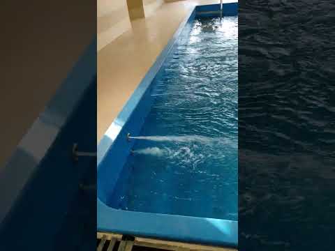 Indoor fiberglass swimming pools