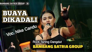 Download lagu Buaya Dikadali - Voc. Nike Candu - BAMBANG SATRIA GROUP - Rock Tarling Dangdut  mp3