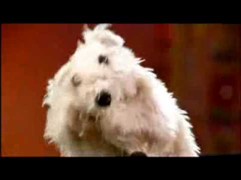 René Marik beim Comedy Club Kookaburra