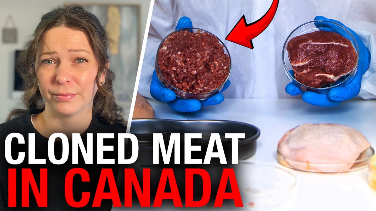 Canadian pork producer pushes back after Health Canada OKs unlabelled lab-grown meat