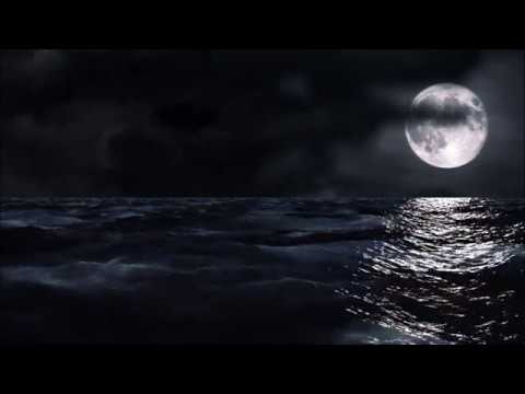 Steven Wilson - Pariah ft. Ninet Tayeb (Lyrics)