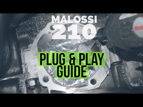 THE ultimate VESPA MALOSSI sport 210 pnp TUNING GUIDE | FMP-Solid PASSion |
