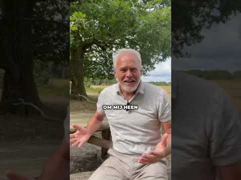 Metgezel Tour: Samen met de Bowery in Zwijndrecht