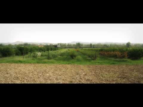 Art.9 della Costituzione: Tuteliamo il nostro ambiente!!