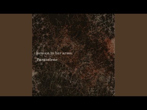 Butterfly in Right Helicoid