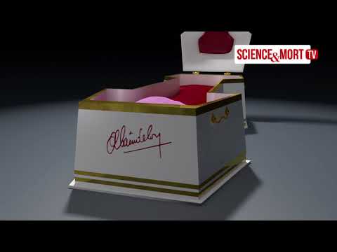 Cercueil Alain Delon - Groland Le Zapoï du 20/01 - CANAL+