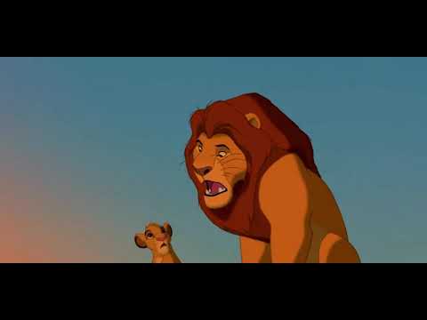 Lion King: Everything The Light Touches