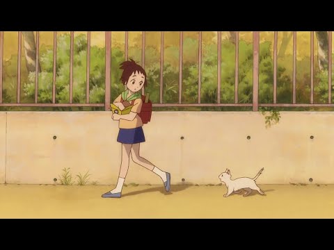 Studio Ghibli Piano Music for Studying and Relaxing- Cute Kitten Sounds😺|The Cat Returns
