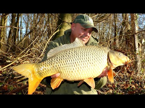 Carp fishing - VTB 55 - Successful session in December