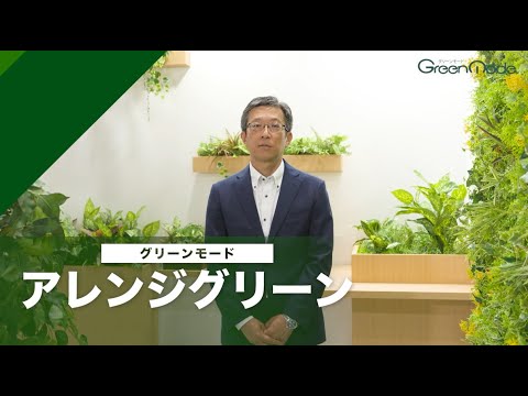 アレンジグリーン解説 | ポットやプランター用の中身グリーン