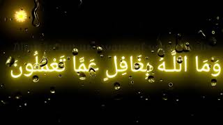 Download lagu Wamallahu.... 💥🌷 Beautiful Trending black screen 30 sec whatsapp status | #thankuallahSama mp3 Download lagu Wamallahu.... 💥🌷 Beautiful Trending black screen 30 sec whatsapp status | #thankuallahSama mp3