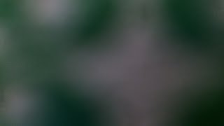 雑談ライブ