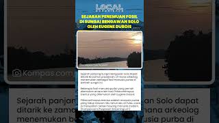 Jejak Manusia Purba di Bengawan Solo Fosil Pithecanthropus Erectus Bukti Sejarah Prasejarah Jawa