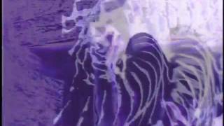 Midday Veil - Moon Temple (Official Video)