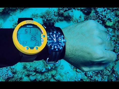 A diver's guide to dive watches!