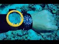 A Diver S Guide To Dive Watches