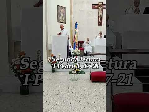 III Domingo de Pascua ¡Hemos visto al Señor!