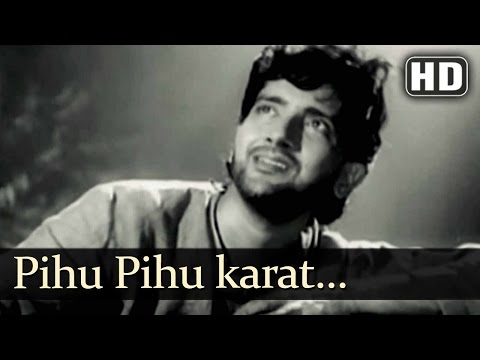 Pihu Pihu Karat | Baiju Bawara Songs | Bharat Bhushan | Meena Kumari | Filmigaane