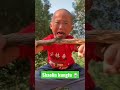 Shaolin Kungfu 🥋 training 💪 #littlemonk