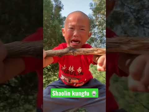 Shaolin Kungfu 🥋 training 💪 