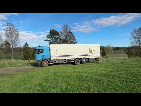 Videoklipp