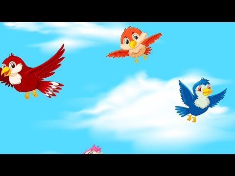 Naše ptaški su se wrośili