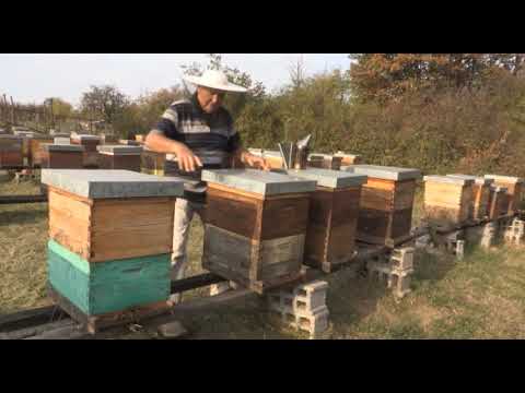 Boja meda ep. 37 20.11.2018. NAJAVA