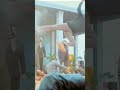 Varisu Official Trailer Thalapathy Vijay Rashmika Vamshi Paidipally Dil Raju S Thaman