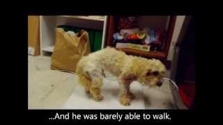 From Matted to Miraculous: Greg's Story