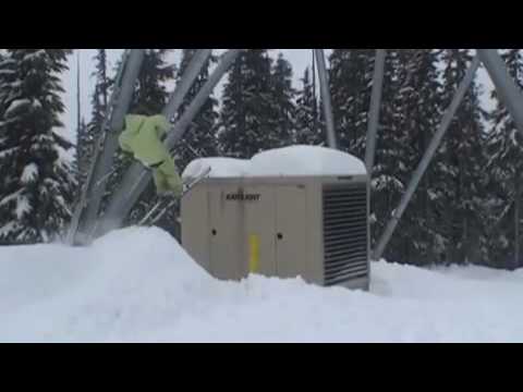 jamski 4 teaser    the lion of jamski