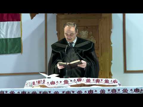 Videó előnézet