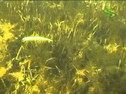 Smith Jib 110mm 12.5g 15 SP