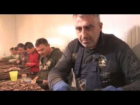 Može bolje ep. 16 27.05.2017. - Kalemljenje