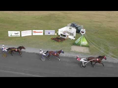VDM - 2019 - Always B Miki - Irish American FFA Pace