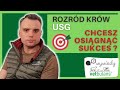 Rozród Bydła Jak Prowadzić Skuteczny Rozród Bydła Jak Powinna Wyglądać Wizyta USG