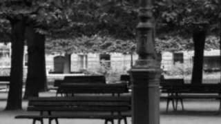 DIAS DE SOMBRILLAS - FERNANDO DELGADILLO