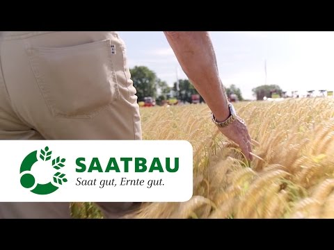 Wintergerste ANEMONE - Feldtag Weikendorf 2016