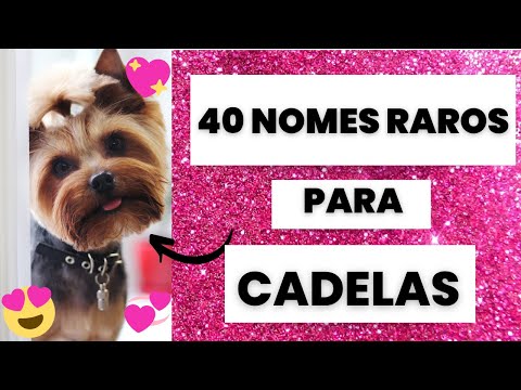 NOMES RAROS PARA CACHORRO FÊMEA🐶💟😍