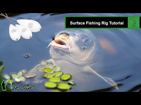 Surface Fishing Rig Tutorial (Korda Surface Controller)
