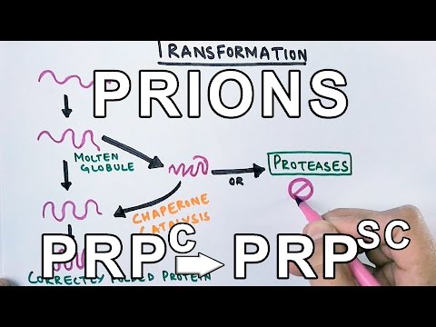 Prions-What are they ? Protein Misfolding Mechanism