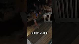Stone Coop Steve Austin