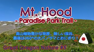 【日本語字幕】Mt. Hood - Paradise Park Trail - Great Oregon Nature #5 高山植物豊かな草原、険しい渓谷、最後は360°の大パノラマとおにぎり！