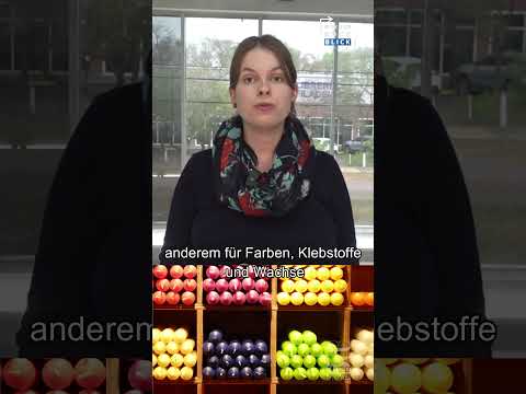 Wochenrückblick - Kulturforum - Kiefernharz - Kreditwürdigkeit - Tourismus in Boquerón