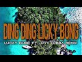 DING DING LICKY BONG LUCKY DUBE JAYV LUBBA RMX CLASSIC MIX K21