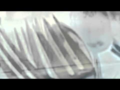 Frio Mundo Frio "Summer In Berlin (Alphaville Cover)" video thumbnail