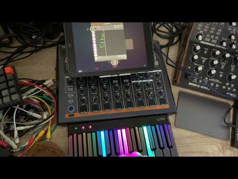 LoopBud Bluetooth Capabilities - App Store Review Team POC Demo
