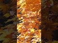 channel