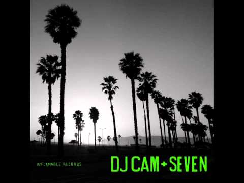 DJ Cam - Swim feat. Chris James