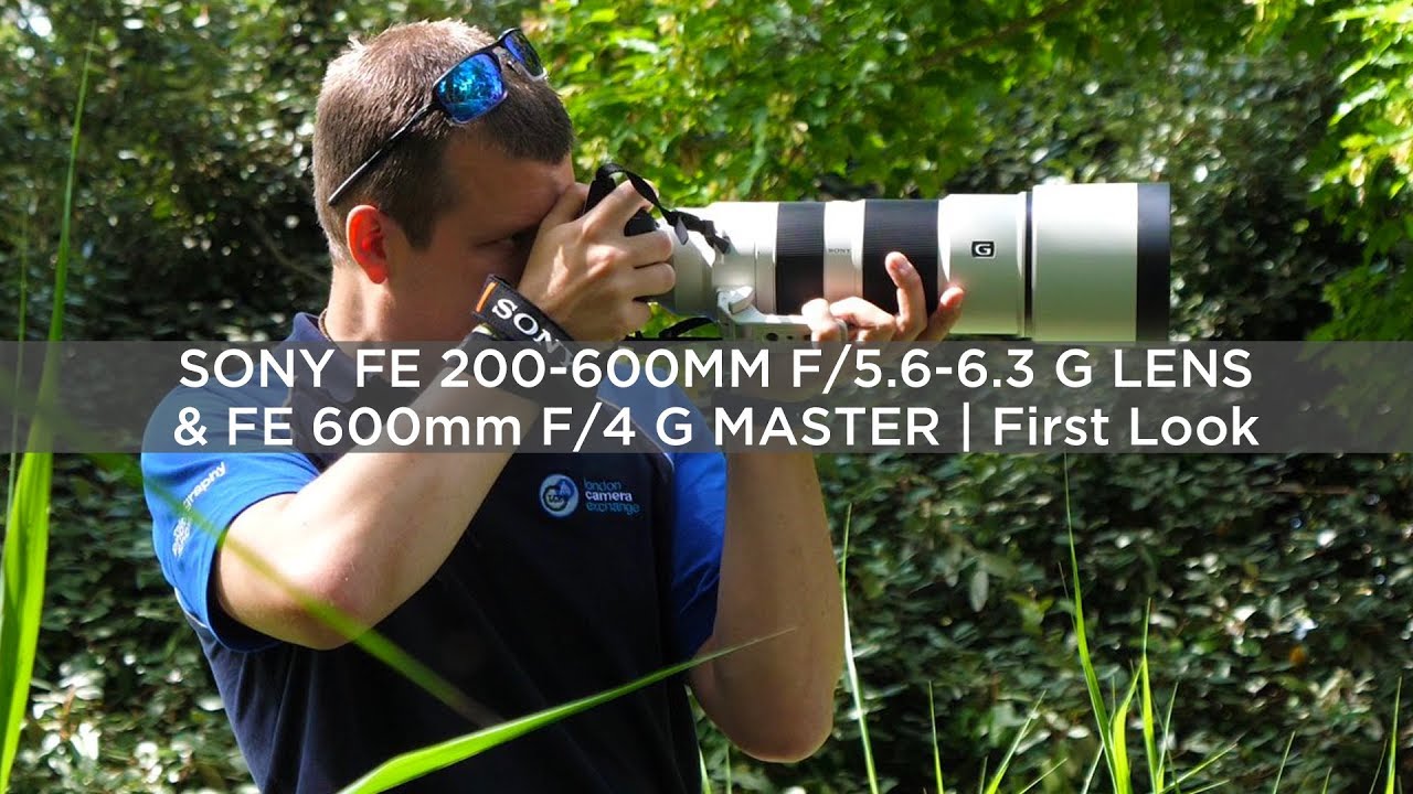 Video thumbnail for Video Review 1