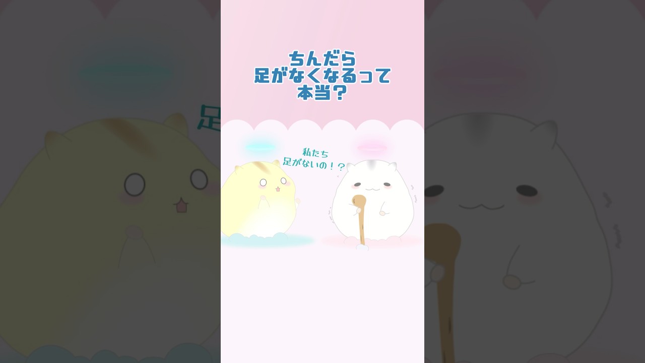 ○ んだら足がなくなるって本当？ #ハムスター
